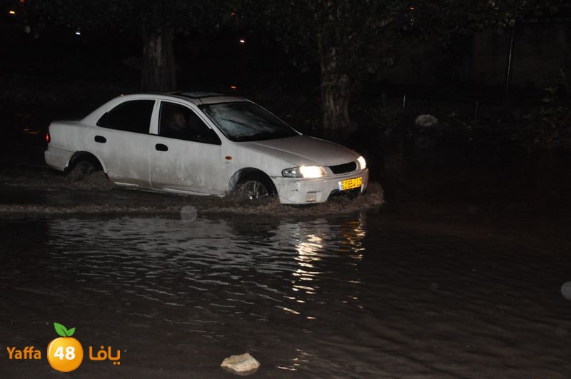 rain lud 1212 (5).JPG